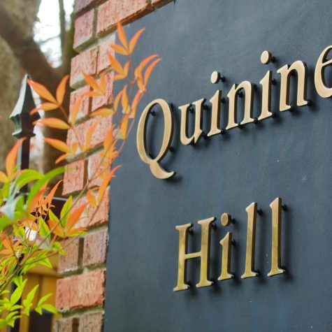 quinine hill